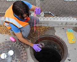 Worker taking a sample from a monitoring well.